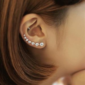 Fashion Climbers Stud Earrings