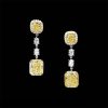 Fancy Yellow Cushion Cut & Radiant Cut Drop Earring