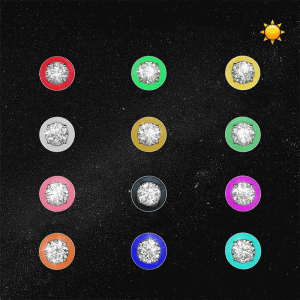 Glow in the Dark Twelve Constellations Stud Earrings