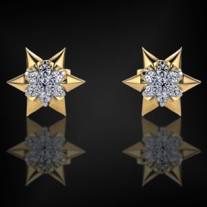 925S & VVS Moissanite the Star of David Earrings