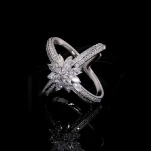 4.56CT Marquise and Round Cut VVS Moissanite Pave Double Band Ring