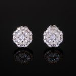925S & VVS Moissanite Diamond Earrings