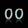 The Neon Enamel Huggies Earrings